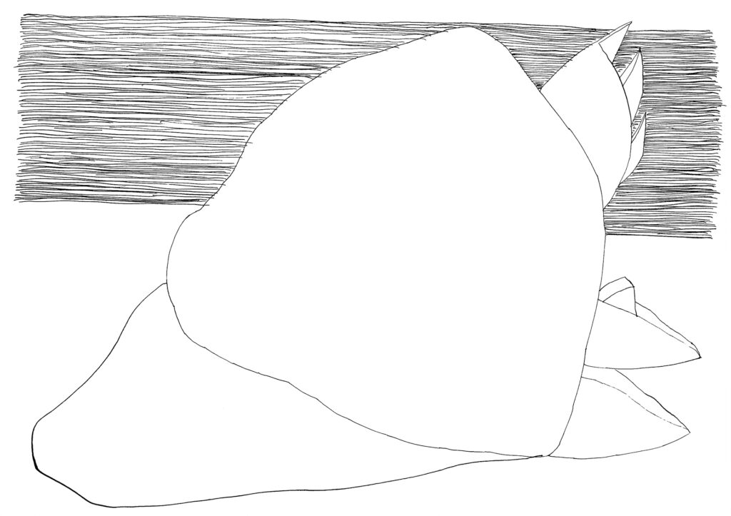 Tusche-Feder-Zeichnung, schwarze Linie auf weissem Blatt, Figur/ation, abstrakt