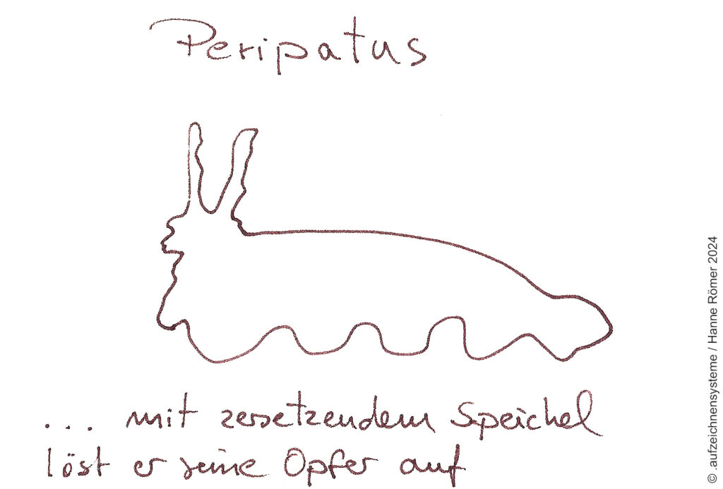 Grafik Zeichnung Kunst Kunstwerk Original